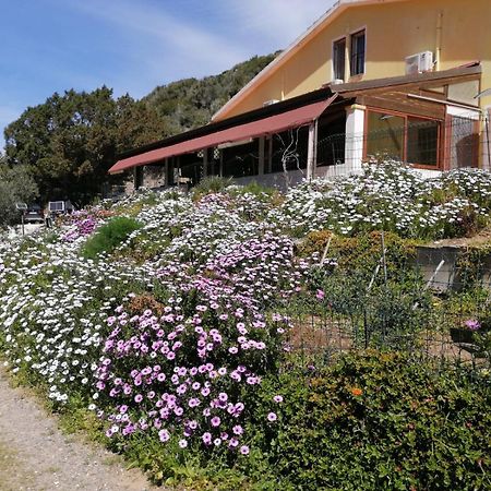 Отель Il Lentischio Cala Sapone Экстерьер фото